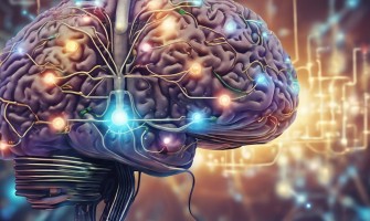 The current state of Artificial Intelligence: applications, trends and services