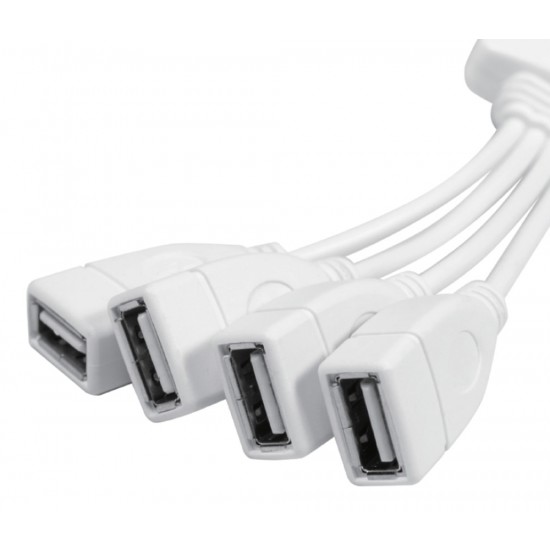 4 Port USB2 Hub White 4 Port USB2 Hub White