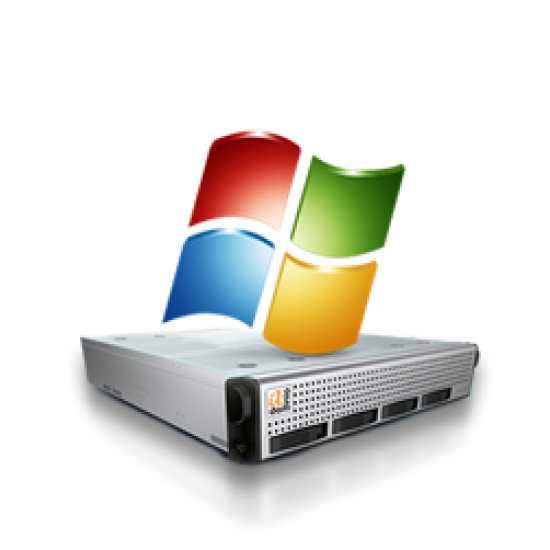 Windows Hosting Professional service