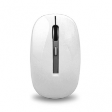 Mouse for computer