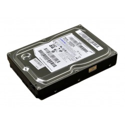 Hard Disk interno SAMSUNG HD322GJ SATA da 320GB 7200 RPM