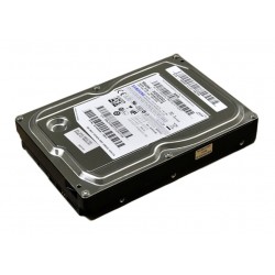 Hard Disk interno SAMSUNG HD322GJ SATA da 320GB 7200 RPM Hard Disk interno SAMSUNG HD322GJ SATA da 320GB 7200 RPM