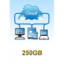 Personal Sync Drive 250