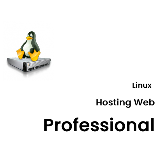 Servizio Linux Hosting Web Professional Servizio Linux Hosting Web Professional