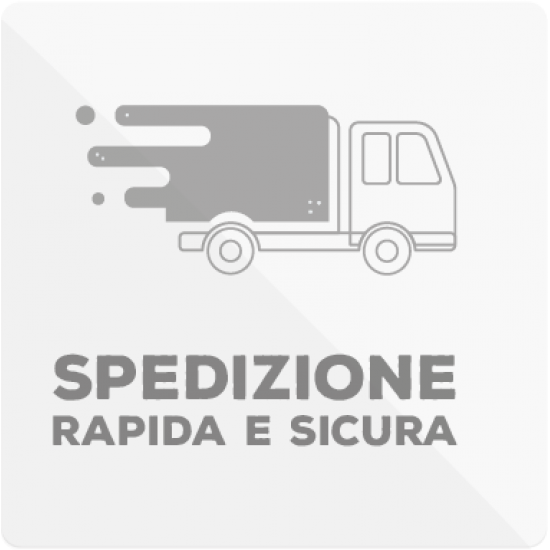 Servizio di spedizione Rapida con Corriere Espresso per L'Italia - Premium Plus