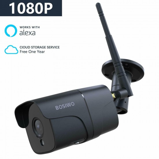 Bosiwo FullHD IP WIFI IP66 camera with Alexa function