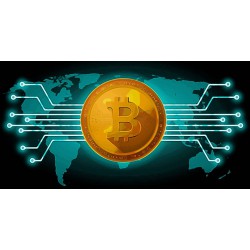 Cryptocurrencies: advice and assistance to accept them immediately on your e-Commerce or physical activity