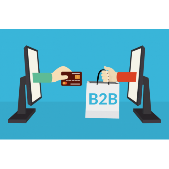 e-Commerce B2B a Canone Mensile