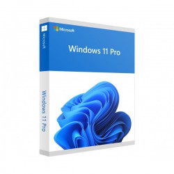 Microsoft Windows 11 Professional operating system