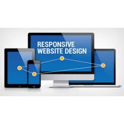 Professional responsive website with integrated translation in English at monthly fee