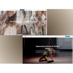 Realization of a mono or multi-page interactive responsive website